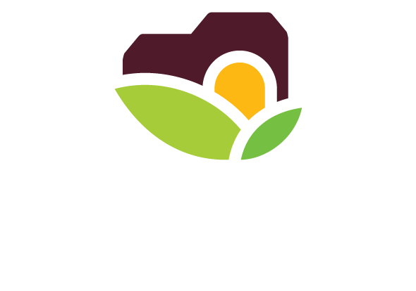 Accueil - Chèque Waloco - photo 33